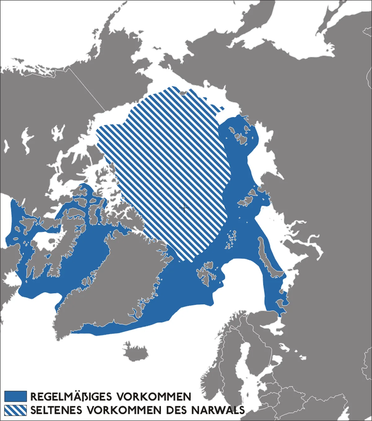 Distribution map of the narwhal across the high Arctic