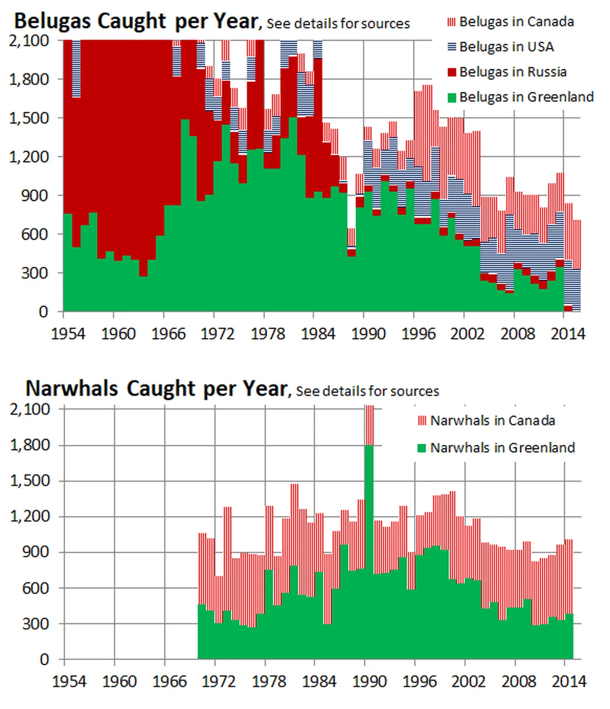 A scale comparison of belugas and narwhals against a human silhouette